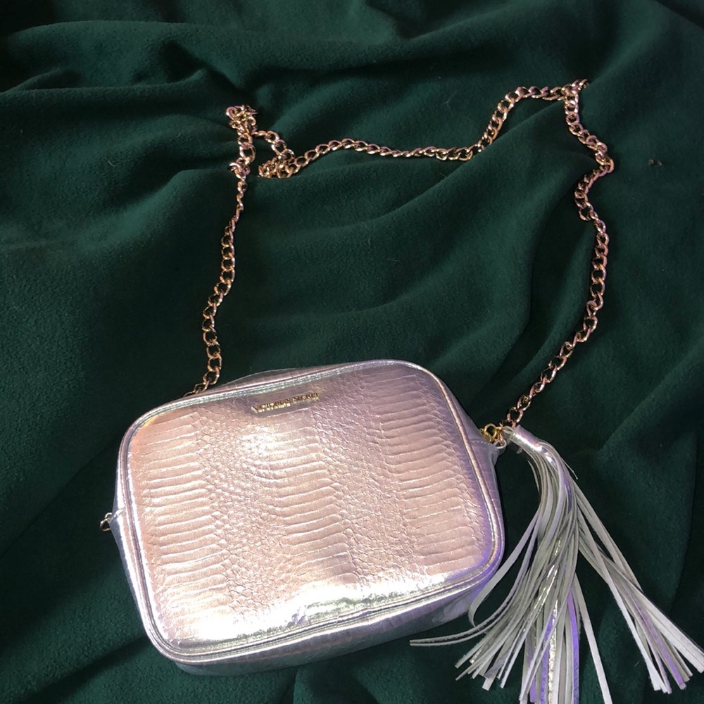 Silver purse